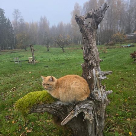 Вилла Baltas Raganinas Pirts Сабиле Экстерьер фото